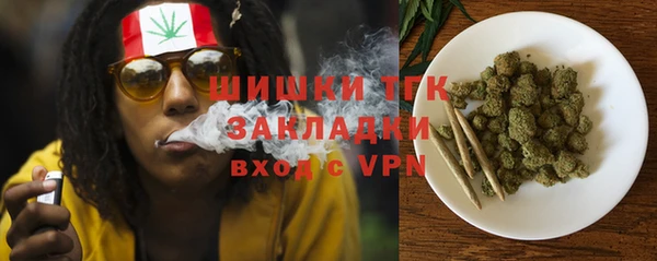 индика Вязьма