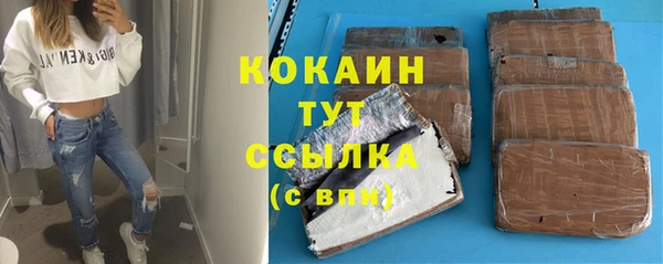 сатива Бердск