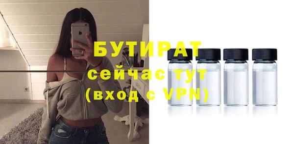сатива Бердск