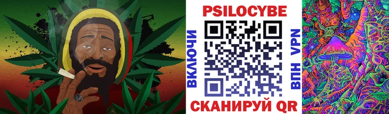 цена   Железноводск  Псилоцибиновые грибы Psilocybe 