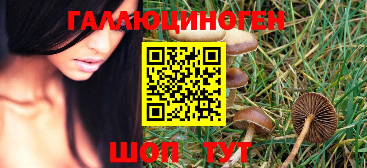 Галлюциногенные грибы MAGIC MUSHROOMS Железноводск