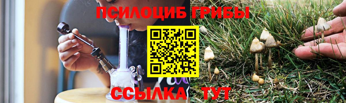 Как найти закладки?  Железноводск  COCAIN  ГАШИШ  Вход с VPN  Меф МЯУ МЯУ  МАРИХУАНА  Меф МЯУ МЯУ  